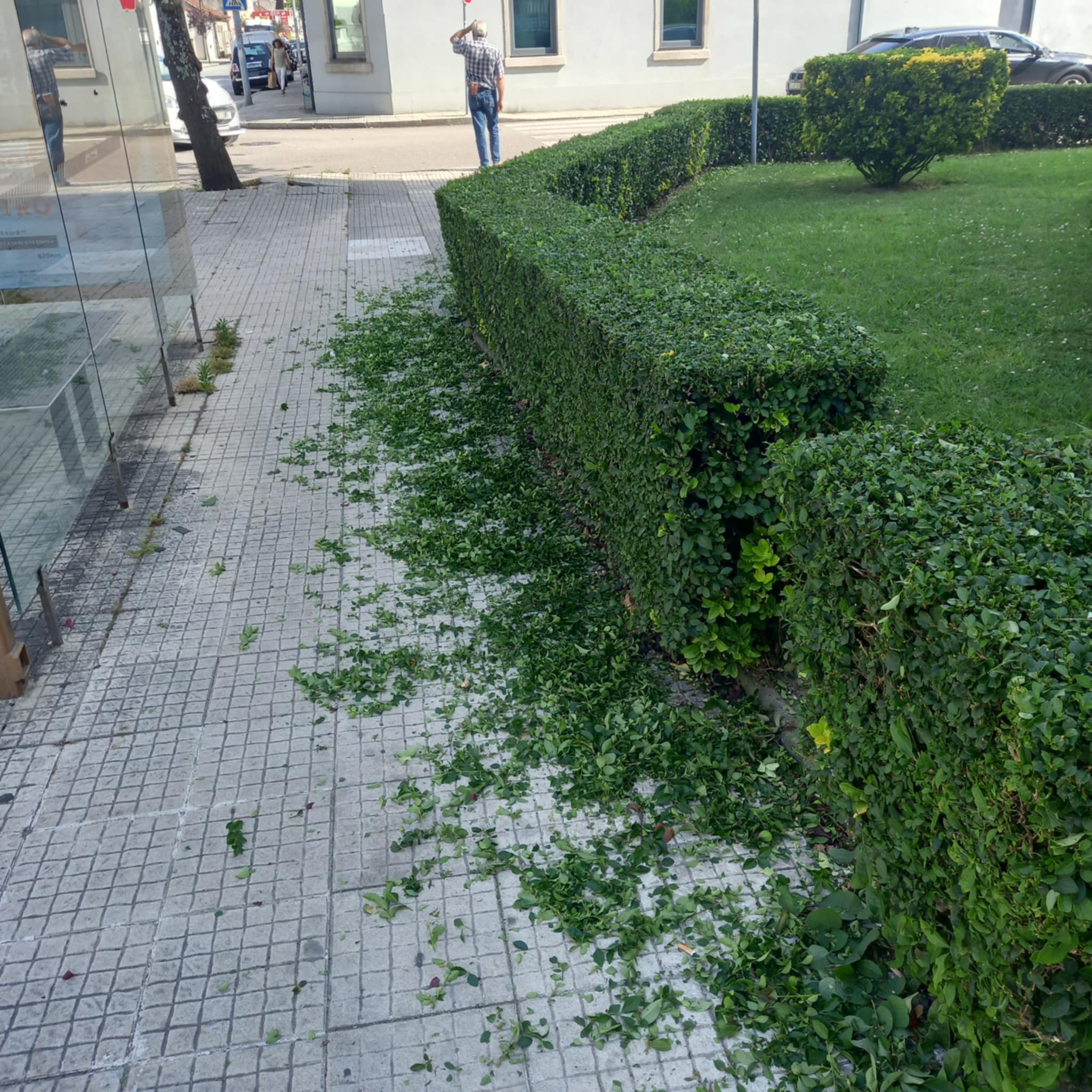 Sebe podada e jardim limpo